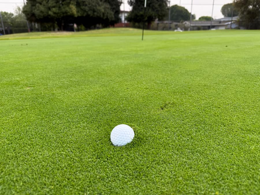 Ball resting on the putting green