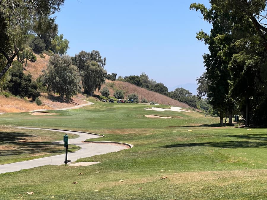 Tee box framed by cypress trees
